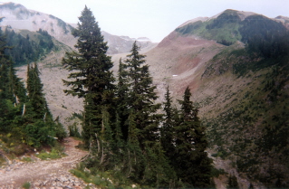 Start of area around Mt Garibaldi north of Elfin Lakes 1997-09.